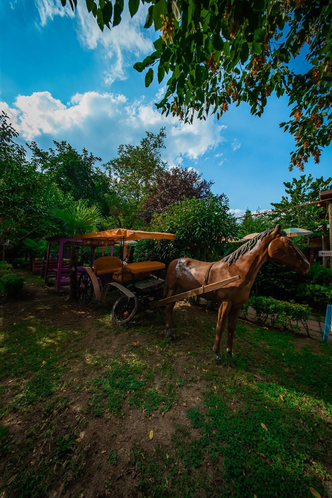 Ortak alan — Gönül Sofram Sapanca bungalov fotoğraf 3