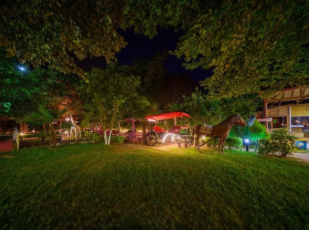 Ortak alan — Gönül Sofram Sapanca hikâye kapağı